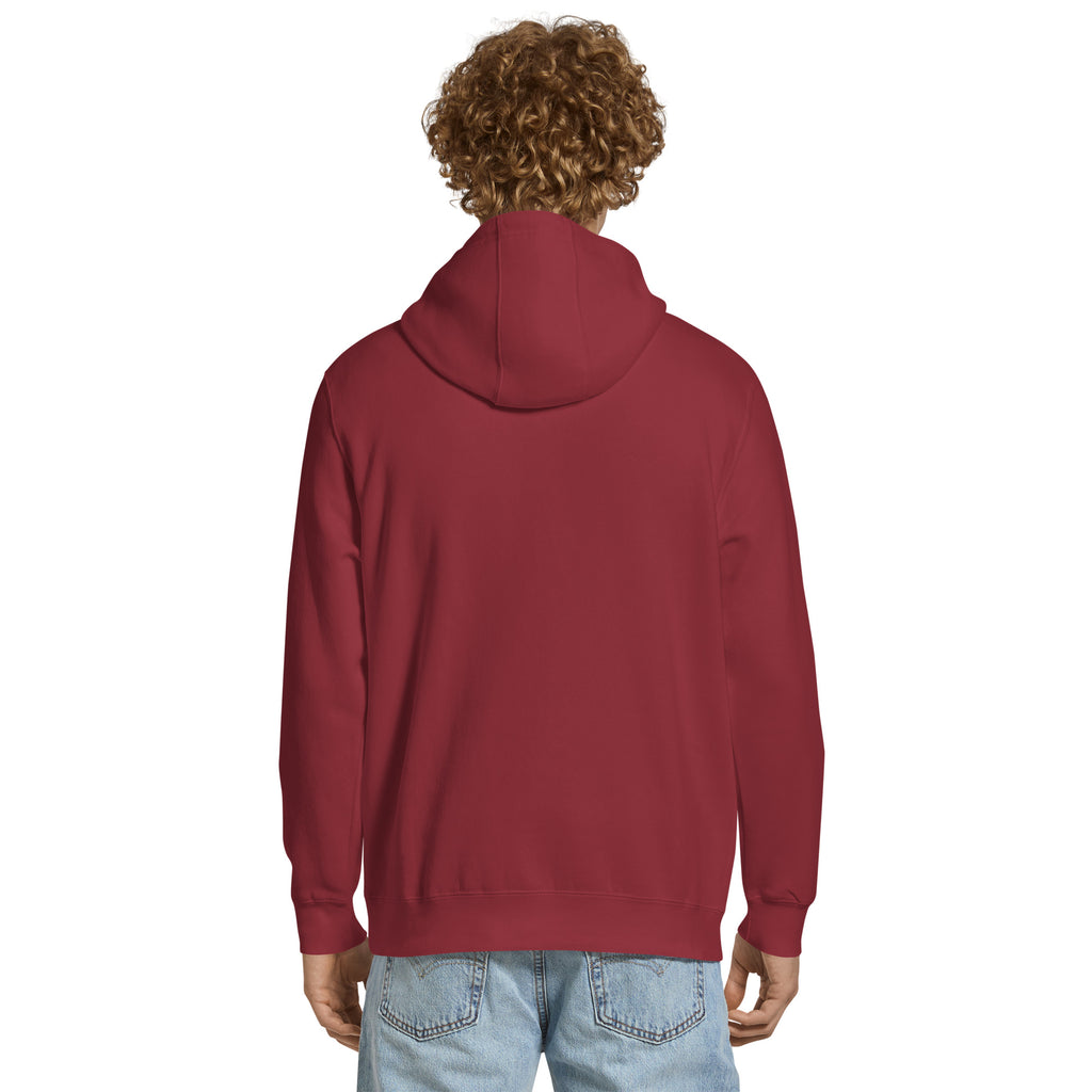 Centralized Plain Pullover Hoodie by Centralized Clothing